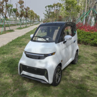 Mini voiture électrique homologuée CEE L6e Voiture électrique à basse vitesse 25 km/h Licence gratuite pour personnes âgées