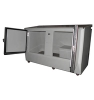 Glacière de stockage de glace à refroidissement direct, 2 portes inclinées, pour extérieur, vente en gros fabricant