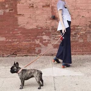 Correa de perro de cuero de lujo con asa de anillo de metal, Correa y collar de perro de alta calidad para cachorros y gatos - Product Image 3