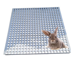 Plancher en plastique anti-morsure pour <span class=keywords><strong>lapin</strong></span>, 43*32cm, accessoires pour cage à <span class=keywords><strong>lapin</strong></span>, plancher à lattes en plastique durable, plancher pour <span class=keywords><strong>lapin</strong></span> - Product Image 5