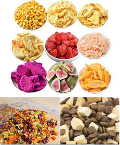 เครื่องทำแห้งแบบแช่เยือกแข็งสำหรับผลไม้ในครัวเรือนและเชิงพาณิชย์ ราคาถูก ขาย - Product Image 6