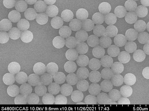 Microsphères fluorescentes résolvées dans le temps pour la chromatographie en fluorescence - Product Image 4