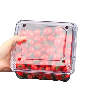 Giá Rẻ Vỉ Bao Bì Nhựa Vỏ Sò Thực Phẩm Trái Cây <span class=keywords><strong>Container</strong></span> Cho Blueberry Cherry Dâu Tây Hộp Trái Cây - Product Image 1