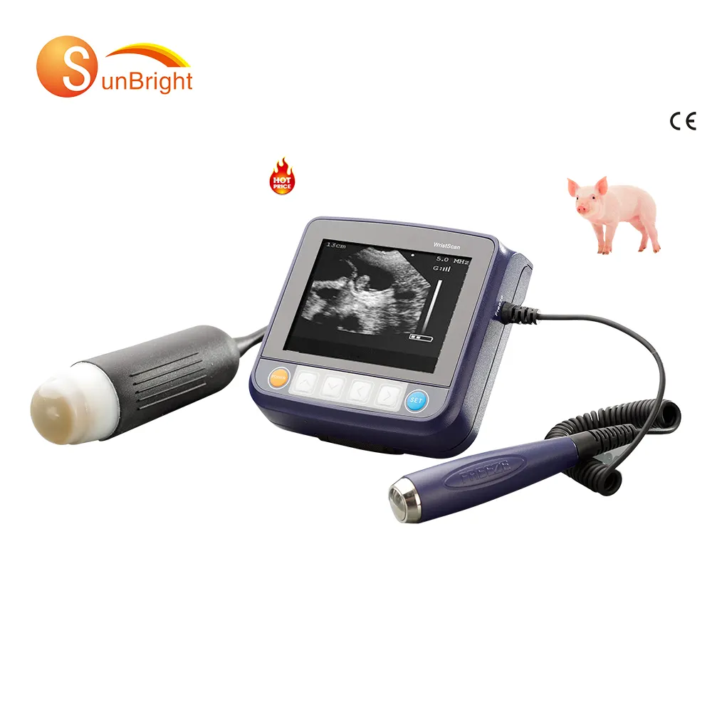 Machine à ultrasons portable bon marché pour animaux de compagnie avec sonde pour le secteur médical