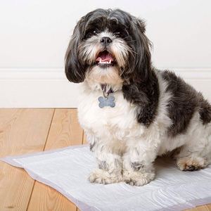Tapis d'entraînement jetables pour chiens de marque OEM - Product Image 6