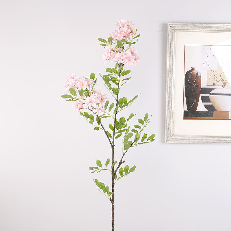 สีชมพูอ่อน