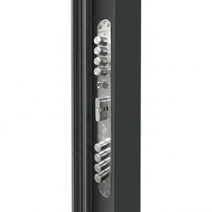Porta d'Ingresso Antieffrazione a Battente con Scanalature Nere e Medaglioni in Bronzo a Forma di Drago per Hotel e Appartamenti - Product Image 5