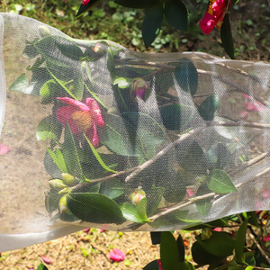 ถุงตาข่ายป้องกันแมลงสำหรับผลไม้ ฝรั่งและ<span class=keywords><strong>มะม่วง</strong></span> ทำจาก HDPE และ PE - Product Image 5