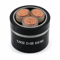 Câble d'alimentation blindé en cuivre à grande section YJV22 0,6/1 kV 3*50 mm², isolé XLPE pour courant élevé 3*50 mm²