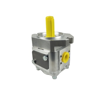 Bomba Hidráulica Eckerle, Bomba de Aceite EIPC5-064/80/100RK/RA/LK30-10, Bomba de Engranajes para Máquina de Moldeo por Inyección - Product Image 5