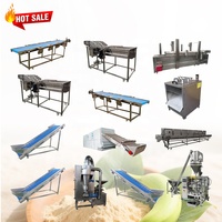 Fabriekslevering Weegbree Bloem Productielijn Bananenpoeder Lijn Machine Bananenverwerking Machine Bananenmeel Machine