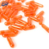 Plantes naturelles Capsule vide végétale rouge transparente HPMC Capsules végétaliennes pour la taille des aliments 00 0 Fabrication de suppléments à base de plantes
