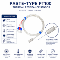 Sonde de température PT100 autocollante en silicone, étanche, à montage en surface pour tuyaux et boîtiers de moteur