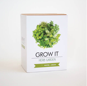 Mini Kit <span class=keywords><strong>de</strong></span> jardín <span class=keywords><strong>de</strong></span> hierbas moderno, maceta <span class=keywords><strong>de</strong></span> <span class=keywords><strong>brotes</strong></span> colgantes para centro comercial, Oficina <span class=keywords><strong>de</strong></span> escritorio y maceta <span class=keywords><strong>de</strong></span> vivero al por mayor - Product Image 5