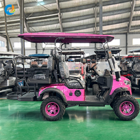 Voiturette électrique Robetaa homologuée pour la route, suspension indépendante, batterie au plomb-acide, voiturette de golf électrique - Offre Spéciale