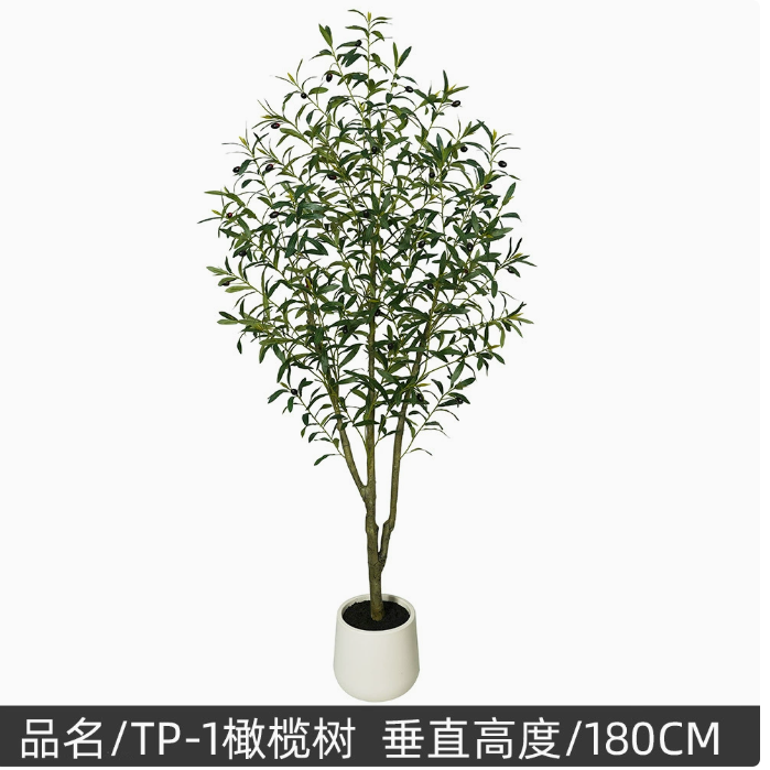 180cm(70.87in)