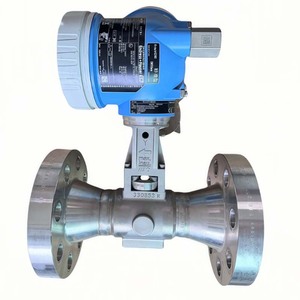 Débitmètre E+H 7F2C, débitmètre de gaz industriel, débitmètre haute température - Product Image 2