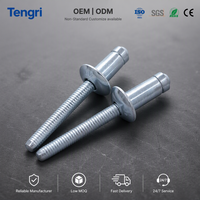 Rivets aveugles fraisés plats et ronds en acier au carbone Tengri, zingués, classe 4, pour utilisation générale sur tôles