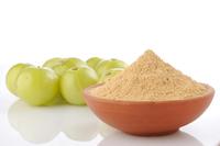 Extrait de fruit nutritif poudre de fruit d'alma poudre d'extrait de fruit d'amla poudre d'alma