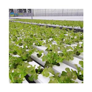 Nft tubo Pvc commerciale su misura per uso alimentare PVC idroponico NFT Pvc sistema di tubo serra idroponica attrezzature per lattuga - Product Image 1