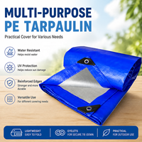 Bâche en PE personnalisée, imperméable, tissée, avec bords renforcés pour la protection des matériaux