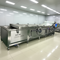 Hoogrenderende Industriële Automatische Bubbelwasmachine Voor Mango Groentewasmachine Met Grote Capaciteit Voor Avocado-Ananas Papaja-Fruit