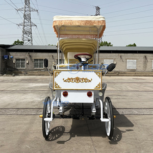 รถม้าไฟฟ้าสีขาวสุดหรูแบบวิคตอเรีย 4 ล้อ สำหรับการท่องเที่ยว ราคาขายส่ง - Product Image 3