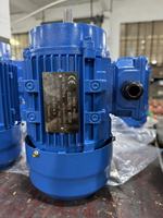 Réducteur de vitesse à vis sans fin Moteur à induction à courant alternatif triphasé Moteur de vitesse à engrenages 230/400V