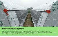Serre Baolida à Grande Portée Unique 8x60m, Hauteur 3,5m avec Ventilation, Arche de 32mm, Raccords de Tuyaux Galvanisés – Direct Usine