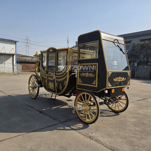 Chariot royal à roues à rayons dorés ZOWN pour le transport touristique et les attractions - Product Image 6
