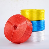 Corde Macramé Rouge 2cm Fibre Polyester pour Emballage, Fil Plastique, Fil Nylon, Rafia Polypropylène, Ficelle PP pour Conditionnement