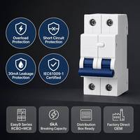 Wanbo-379 Disjoncteur différentiel RCBO Wanbo avec protection contre les fuites de 30 mA pour boîtier de distribution et tableau de commutation basse tension