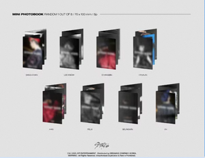 อัลบั้มเต็มชุดแรกของ Stray Kids รุ่น Repackage IN LIFE ฉบับมาตรฐาน ของแท้ ซีดีเพลงเคป๊อป ซีลปิดผนึก วงบอยแบนด์เกาหลี นำเข้าจากเกาหลี - Product Image 5