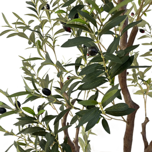 شجرة زيتون صناعية للكريسماس من CHUANGFA ، شجرة زيتون صناعية للعام الجديد ديكور داخلي أوراق شجر بلاستيكية متينة مباشرة من المصنع - Product Image 5