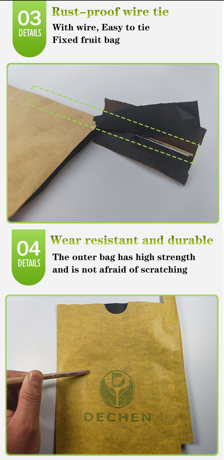 Protect Bags Kraft Fruit Growing Paper Bag For Mango