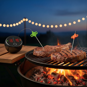 Termômetro Digital Bluetooth Sem Fio Controlado por Aplicativo para Churrasco com Alarme, Base Magnética e 2 Sondas para Uso em Forno Interno - Product Image 1