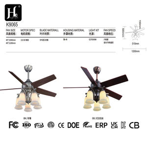 Ventilateur moderne à moteur CC avec lumière et télécommande par un fabricant chinois - Product Image 3