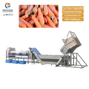 Ligne industrielle automatique de lavage et de calibrage de carottes 5000 kg/h avec moteur et système de vidange en acier inoxydable 304 - Product Image 1