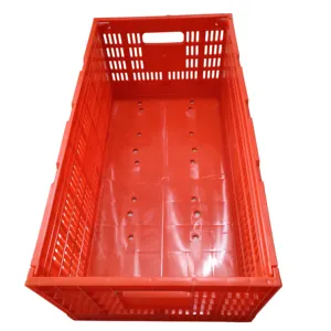 Hot Selling Box Chicken Laying Transfer Cage Stackable Moving Crates Collapsible Plastic Crate For Transport Eggs