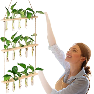 <span class=keywords><strong>Kit</strong></span> de terrarium mural en verre borosilicate rond avec trou de drainage - Écologique pour la maison et le jardin - Product Image 4