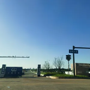 Telecamera Cctv Monitor palo di illuminazione del traffico con verniciatura