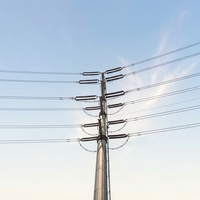 Tour de transmission monopôle en acier Shenghong SH-Power Line Towers, structure galvanisée à chaud, 550KV 630A haute tension, 8 puissances