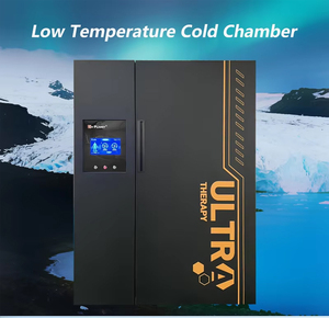 Chambre de cryothérapie faciale pour soins personnels, équipement de thérapie par le froid à basse température pour centre de bien-être et spa, en acier inoxydable, chaud - Product Image 2