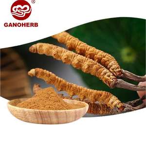 GANOHERB Extraits de Plantes Biologiques Cordyceps Sinensis Militaris Extrait en Poudre Mélange Superalimentaire Compléments en Poudre - Product Image 1