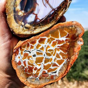Venta al por Mayor de Rodajas de Septaria de Roca Natural, Patrón de Concha de Tortuga, Fósil Marroquí, Cristal Único para Artesanías - Product Image 6