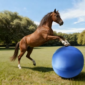 Pelota de Yoga Resistente para Perros de Razas Medianas/Grandes, Ecológica, con Cubierta Antideslizante - Product Image 2