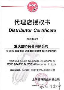 BKR5E-11 Flamer aus Nickel legierung für Elantra Accent Sonata Cerato Mitsubishi - Product Image 6