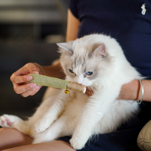 For Hot-Selling Catnip Smoke <b>Cat</b> Toy for Self-Entertainment Boredom Relief Oral Cleaning & Teething-Teaser Stick - Product Image 3