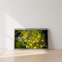 FHD 1080P Ultra Slim IPS 15,6 Zoll Touch-LCD-Bildschirm mit 10 Berührungspunkten für Industrie-Kiosk 1 Jahr Garantie