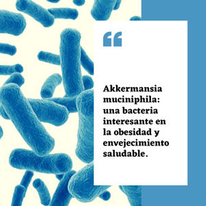 Wuhan Healthdream Akkermansia Muciniphila Inactivé 100 Milliards UFC/g Poudre Probiotique Bactéries AKK pour la Santé Intestinale - Product Image 2